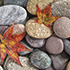 Autumn Stones